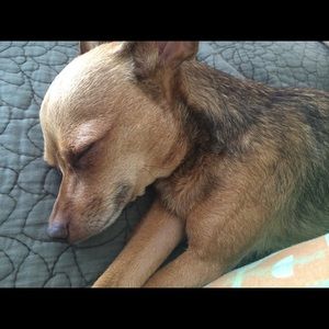 Meet your Posher, Monique